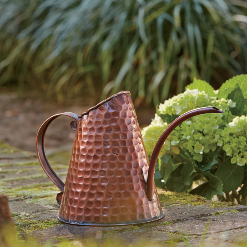 Birch Lane™ Copper Watering Can & Reviews Birch Lane